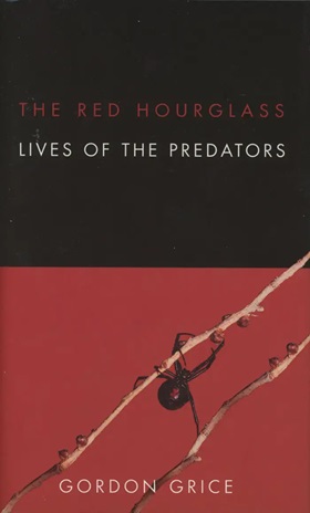 The Red Hourglass